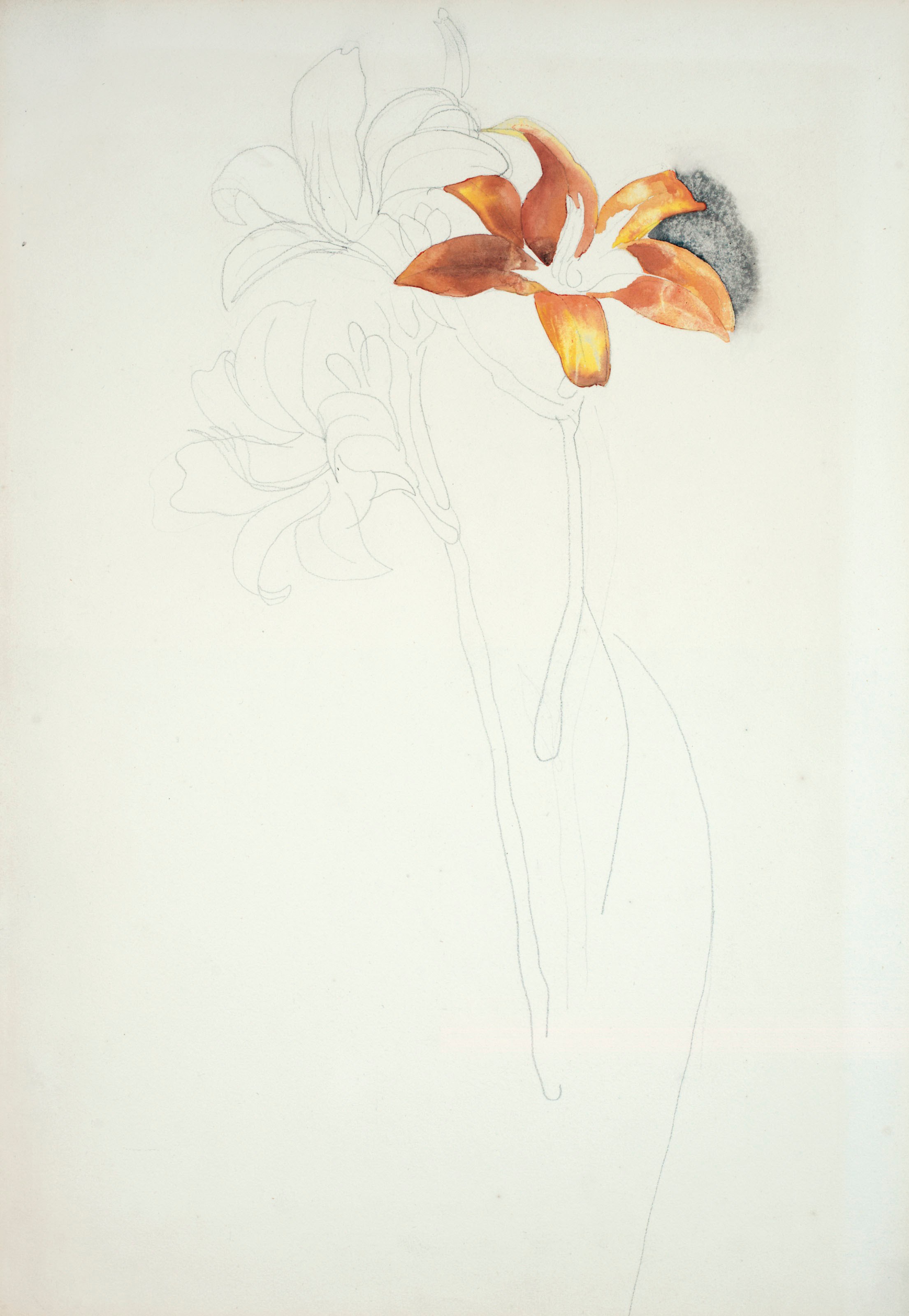 Charles Demuth (1883-1935)