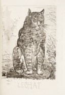 BUFFON (G.-L. Leclerc de…) – PICASSO (P.). Eaux-fortes originales pour des textes de Buffon. Paris, Martin Fabiani, 1942, maroquin noir, plats et dos ornés d’une mosaïque non sertie de box blanc, figurant un coq sur fond de plumes, dos lisse avec nom de l’auteur en lettres de box noir, doublure et gardes de daim noir, couverture, tranches au palladium sur témoins, chemise et étui gainés de même maroquin (Creuzevault).