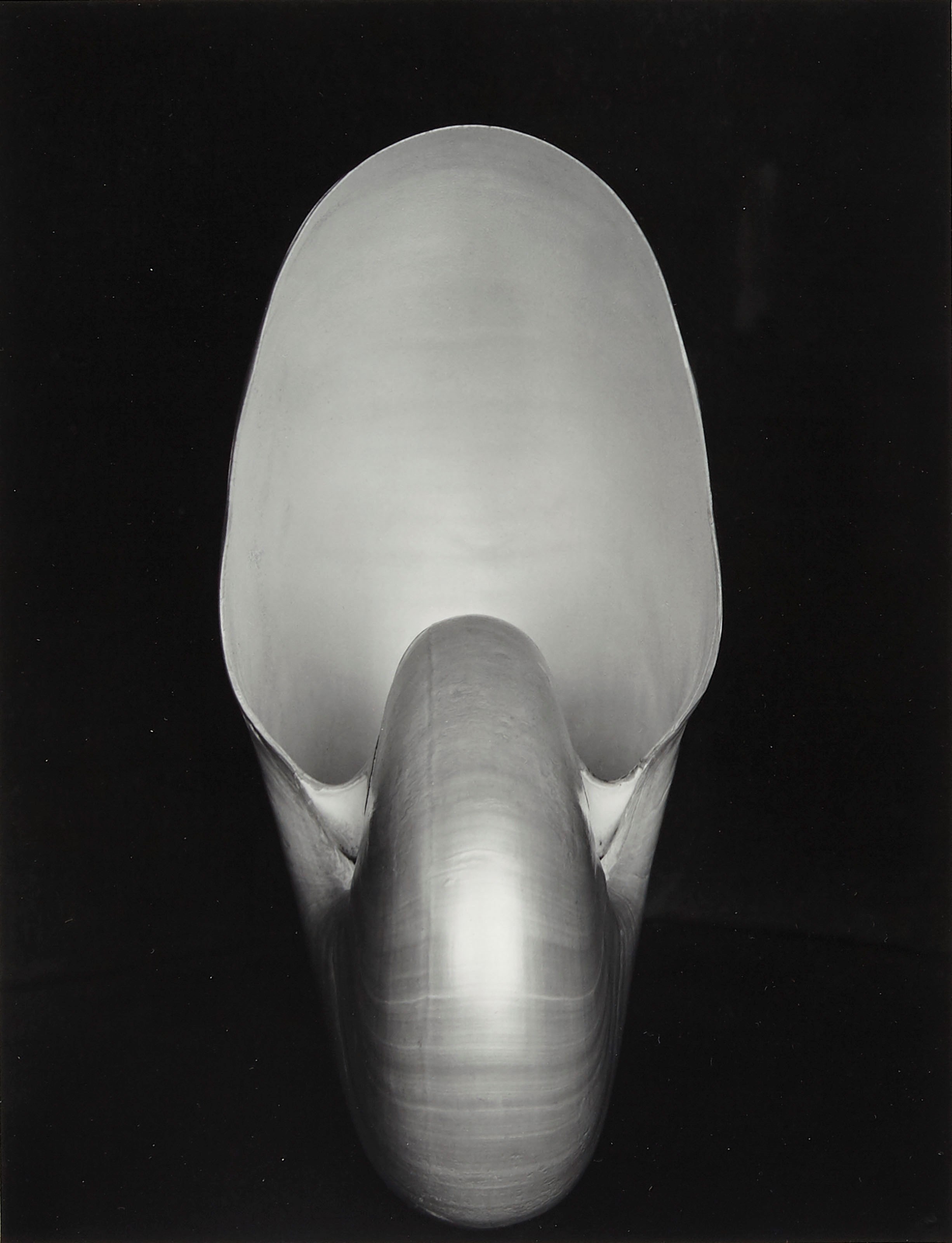 EDWARD WESTON (1886–1958)