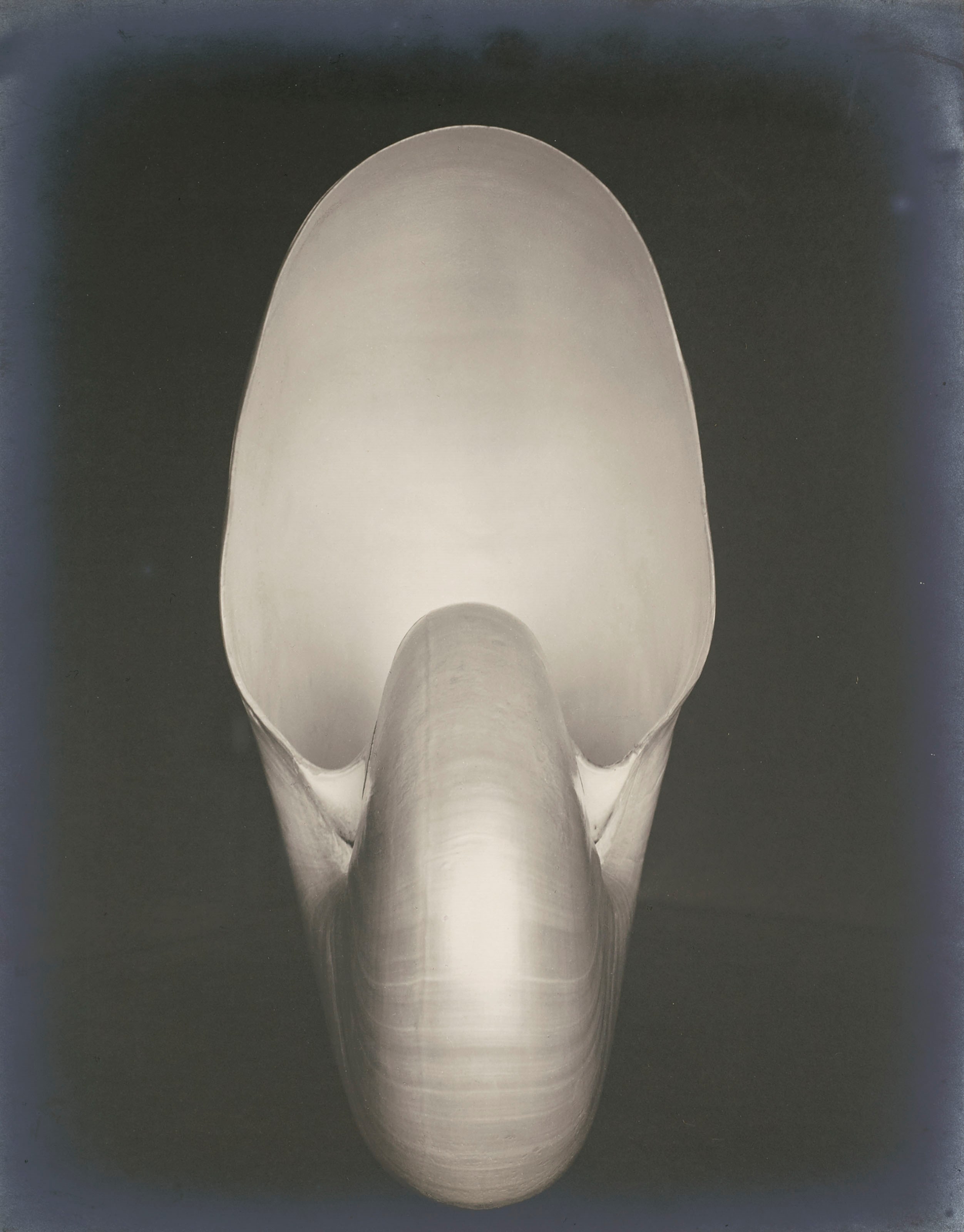 Edward Weston (1886-1958)