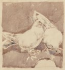 JAMIL NAQSH (B. 1939)