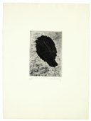 MAN RAY (1890-1976)