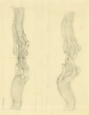 Hans Bellmer (1902-1975)