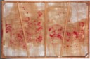 Hermann Nitsch (b. 1938)