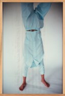 Erwin Wurm (b. 1954)