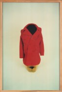 Erwin Wurm (b. 1954)