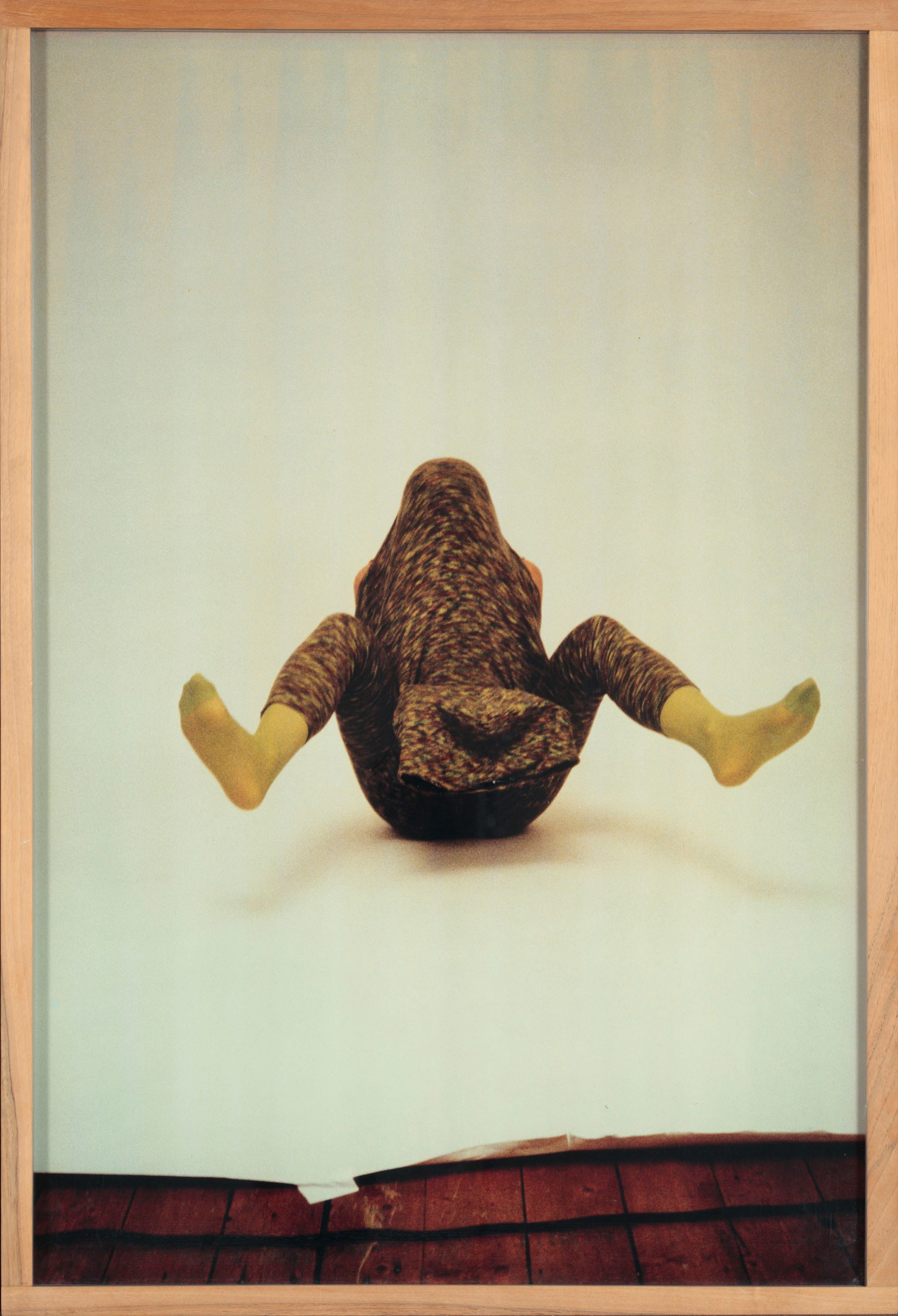 Erwin Wurm (b. 1954)