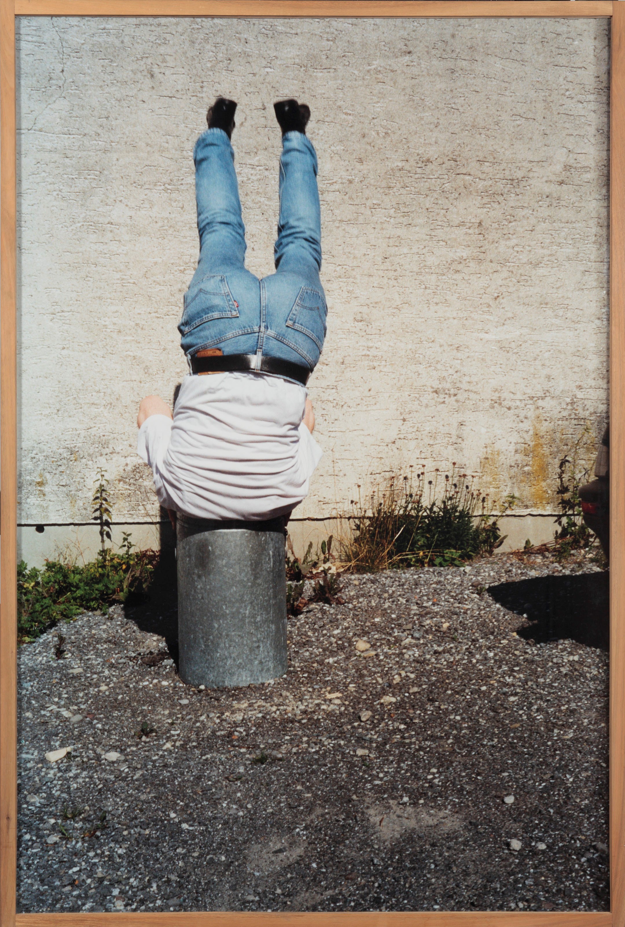 Erwin Wurm (b. 1954)