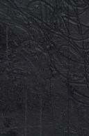 Rashid Johnson (b. 1977)
