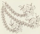 顧德新 (1962年生)
