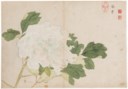 JIANG WEI (CHINE, DYNASTIE QING, EPOQUE KANGXI, 1662-1722)