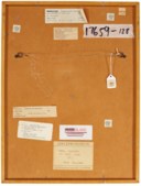 Kurt Schwitters (1887-1948)