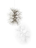 Ruth Asawa (1926-2013)