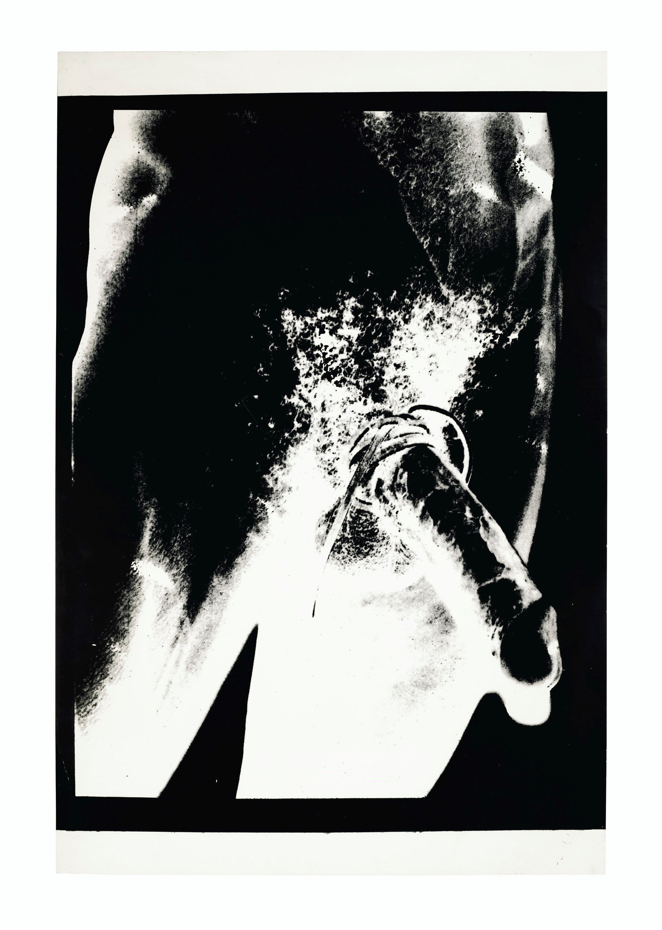ANDY WARHOL (1928-1987)