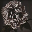 GERALDINE JAVIER (B. 1970)