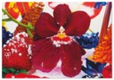 Marc Quinn (né en 1964)