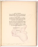 BELLMER, Hans