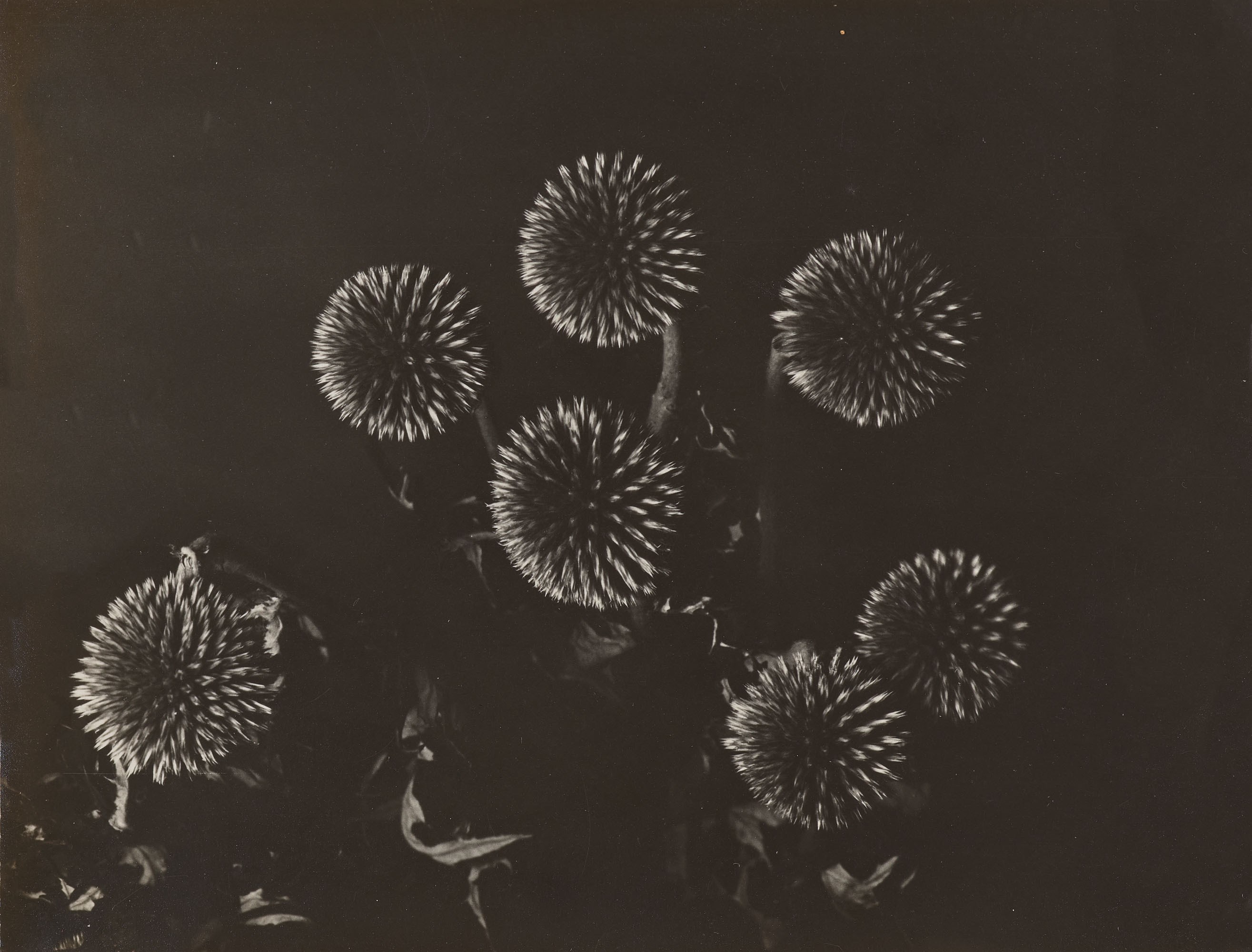 MAN RAY (1890-1976)