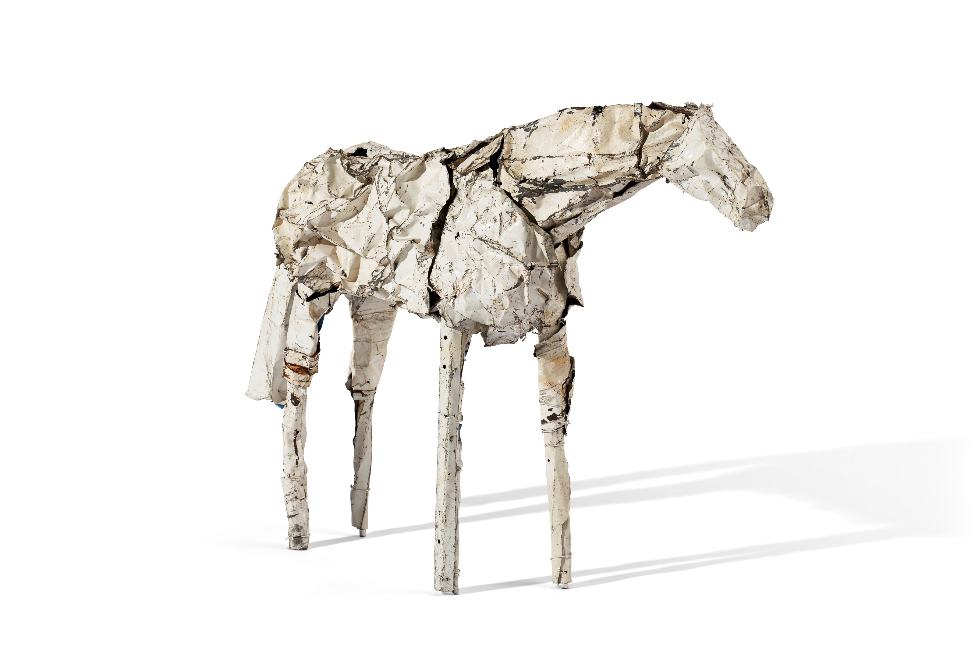 DEBORAH BUTTERFIELD (B. 1949)