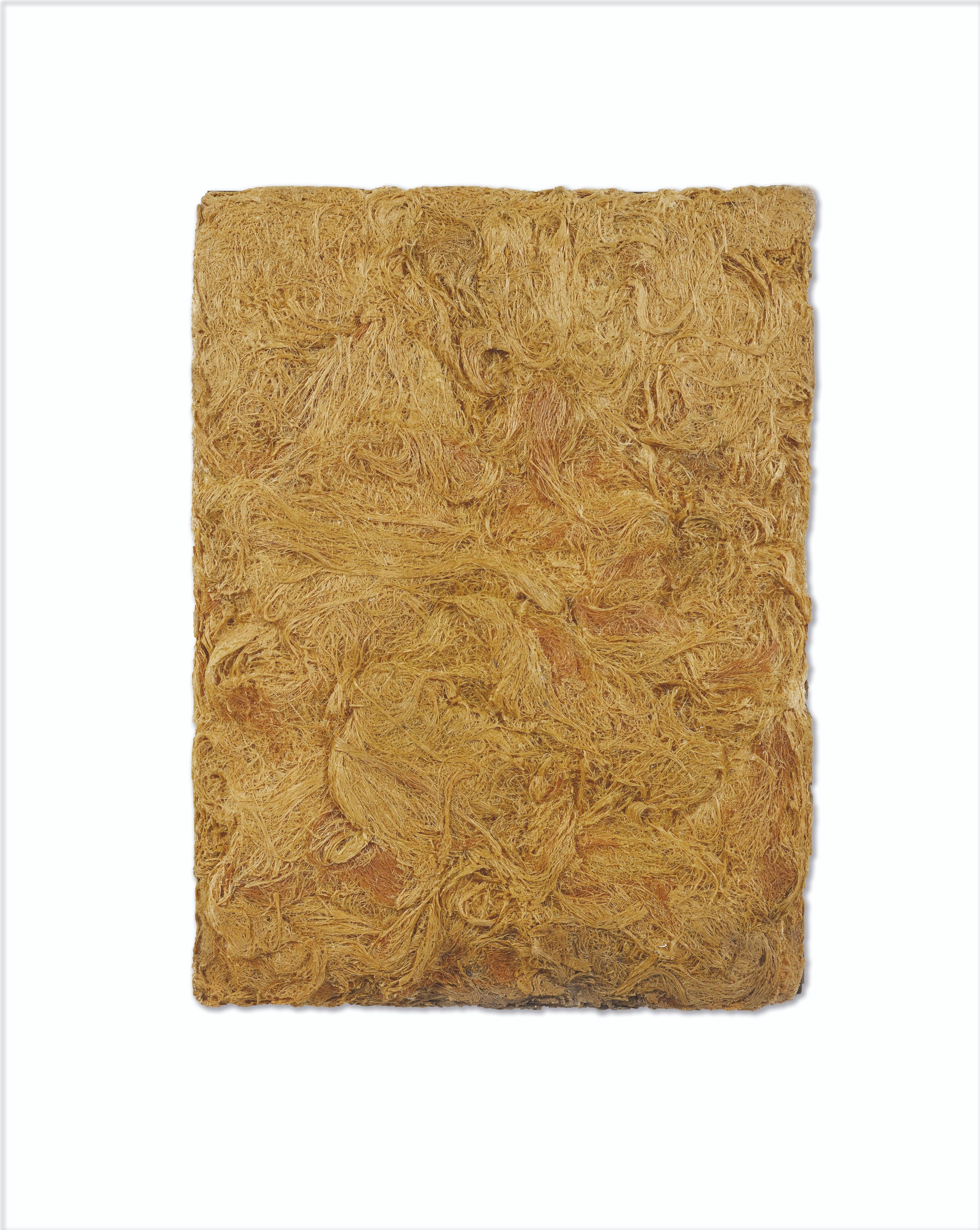 CÉSAR (1921-1998)