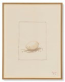 THOMAS SCHÜTTE (B. 1954)