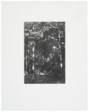 ROBERT ADAMS (B. 1937)