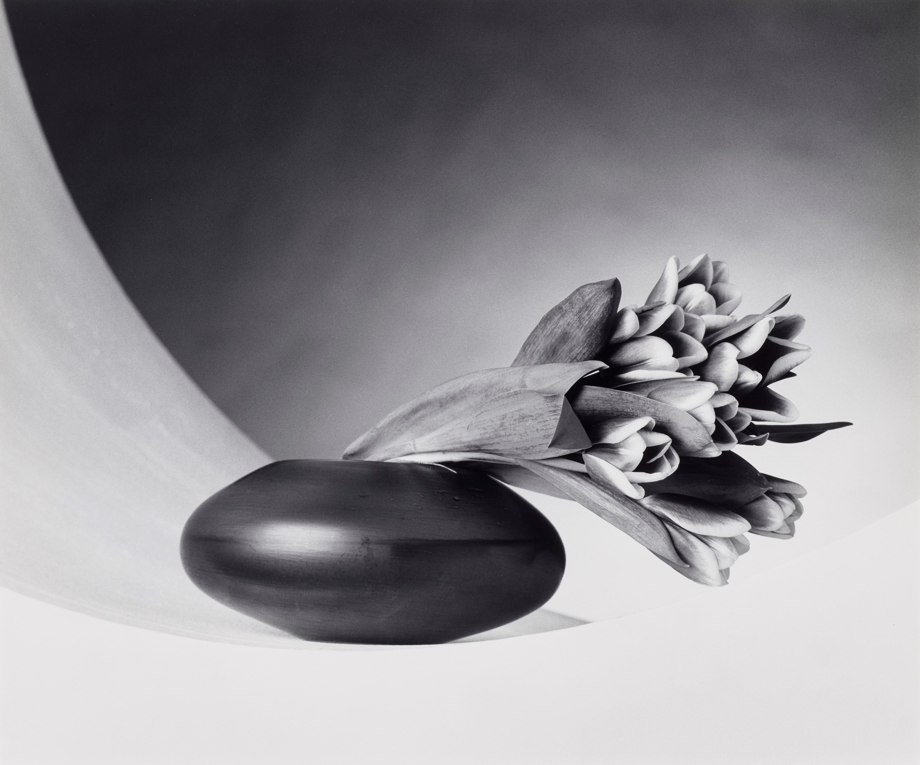ROBERT MAPPLETHORPE (1946–1989)