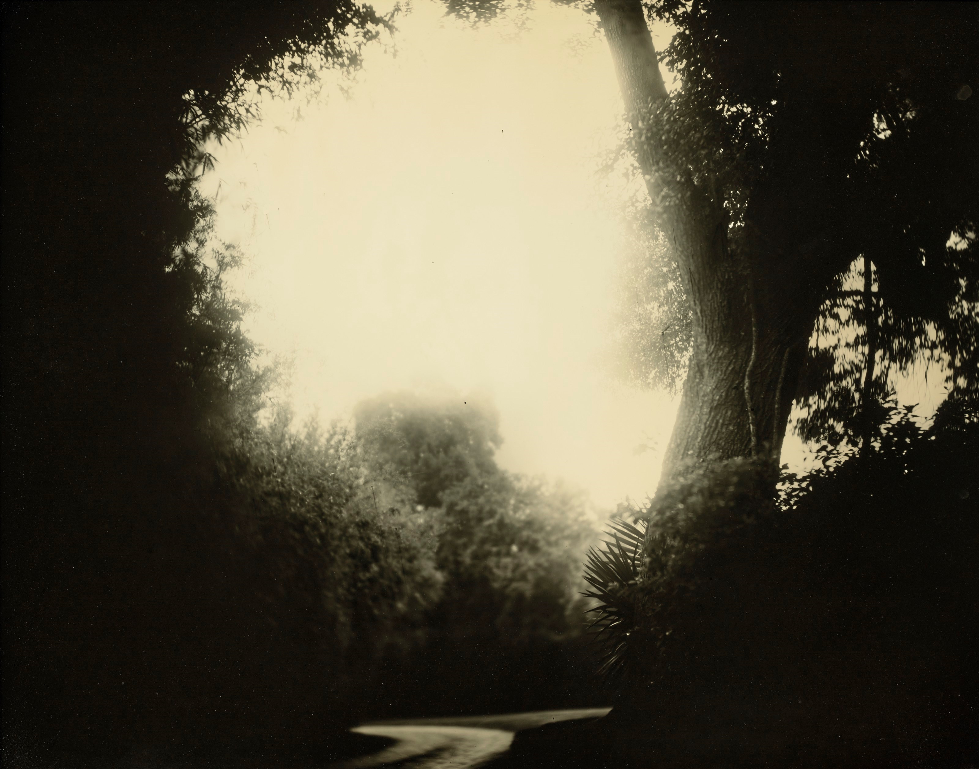 SALLY MANN (NÉE EN 1951)