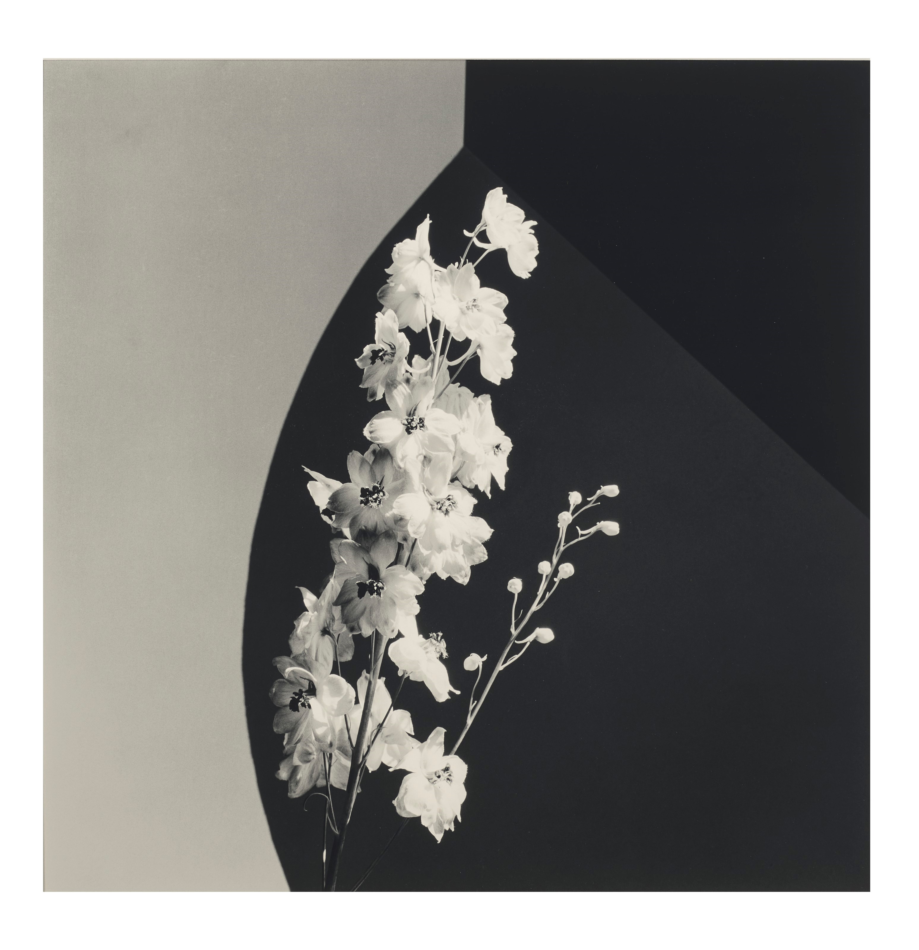 ROBERT MAPPLETHORPE (1946–1989)