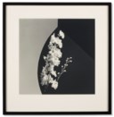 ROBERT MAPPLETHORPE (1946–1989)