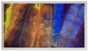 SAM GILLIAM (B. 1933)