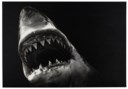 ROBERT LONGO (B. 1953)
