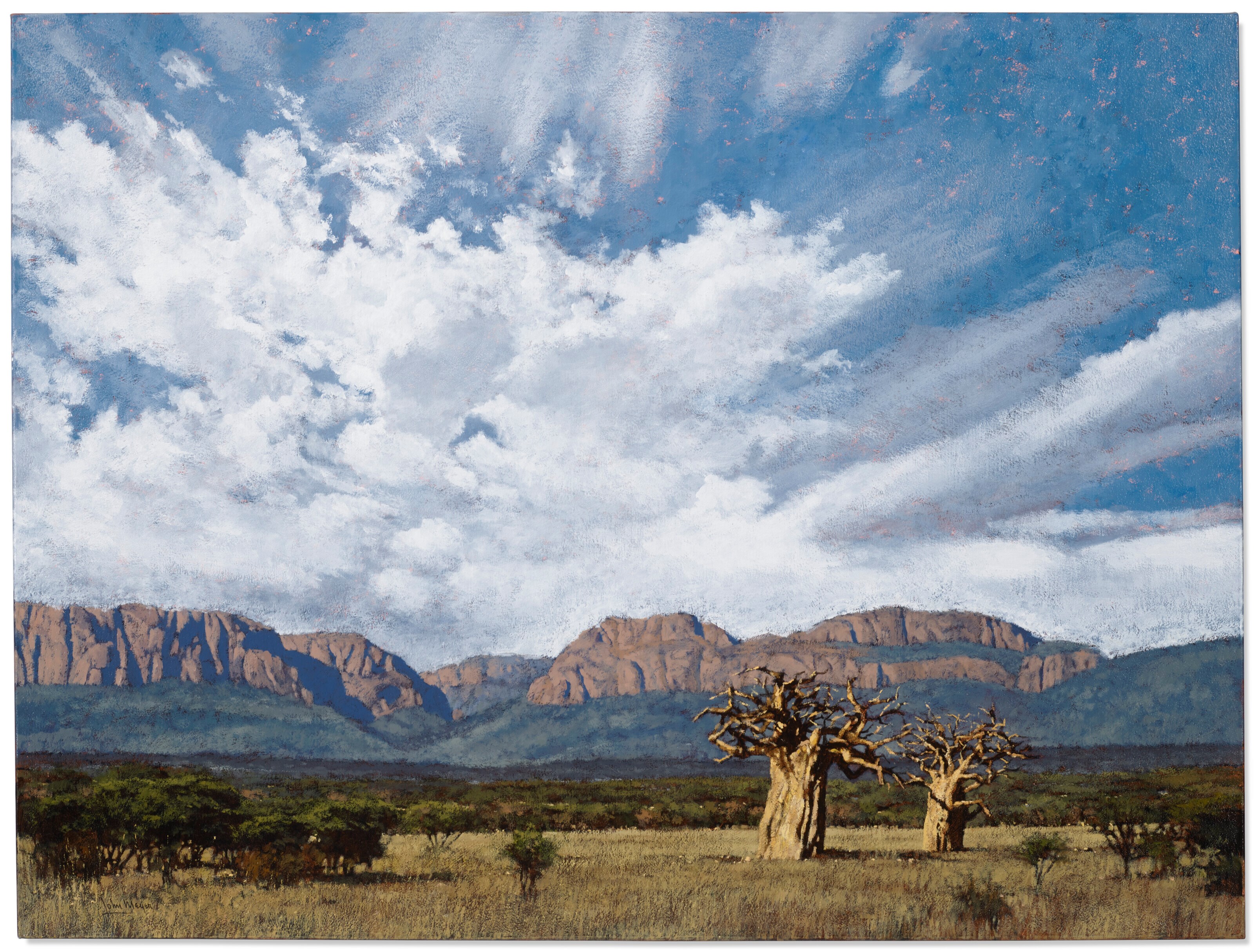JOHN MEYER (B. 1942)