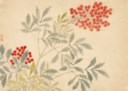 CHEN SHU (1660-1736)