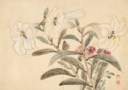 CHEN SHU (1660-1736)