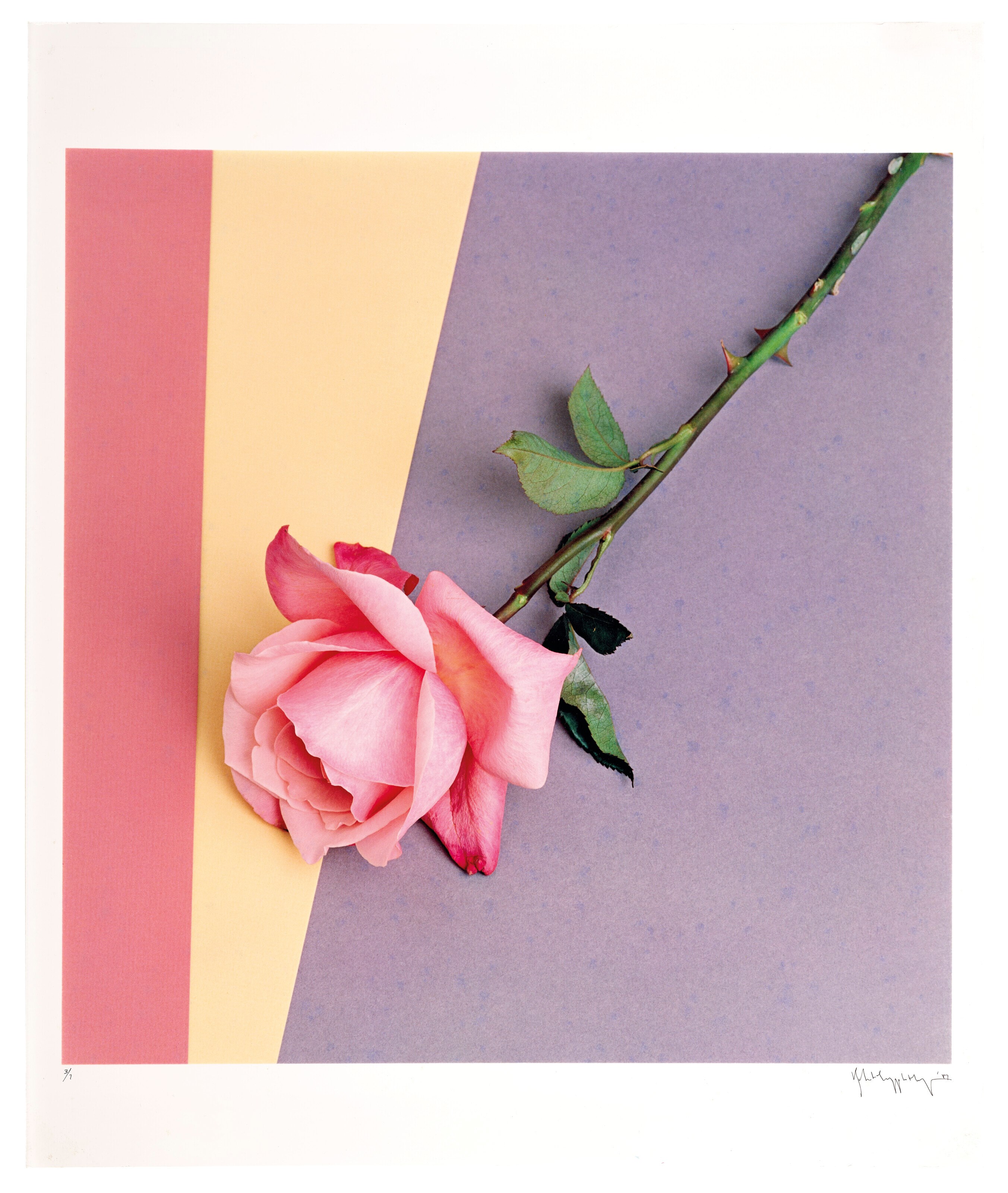 Robert Mapplethorpe (1946-1989)