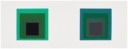 JOSEF ALBERS (1888-1976)