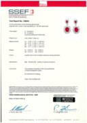 RUBY AND DIAMOND EARRINGS