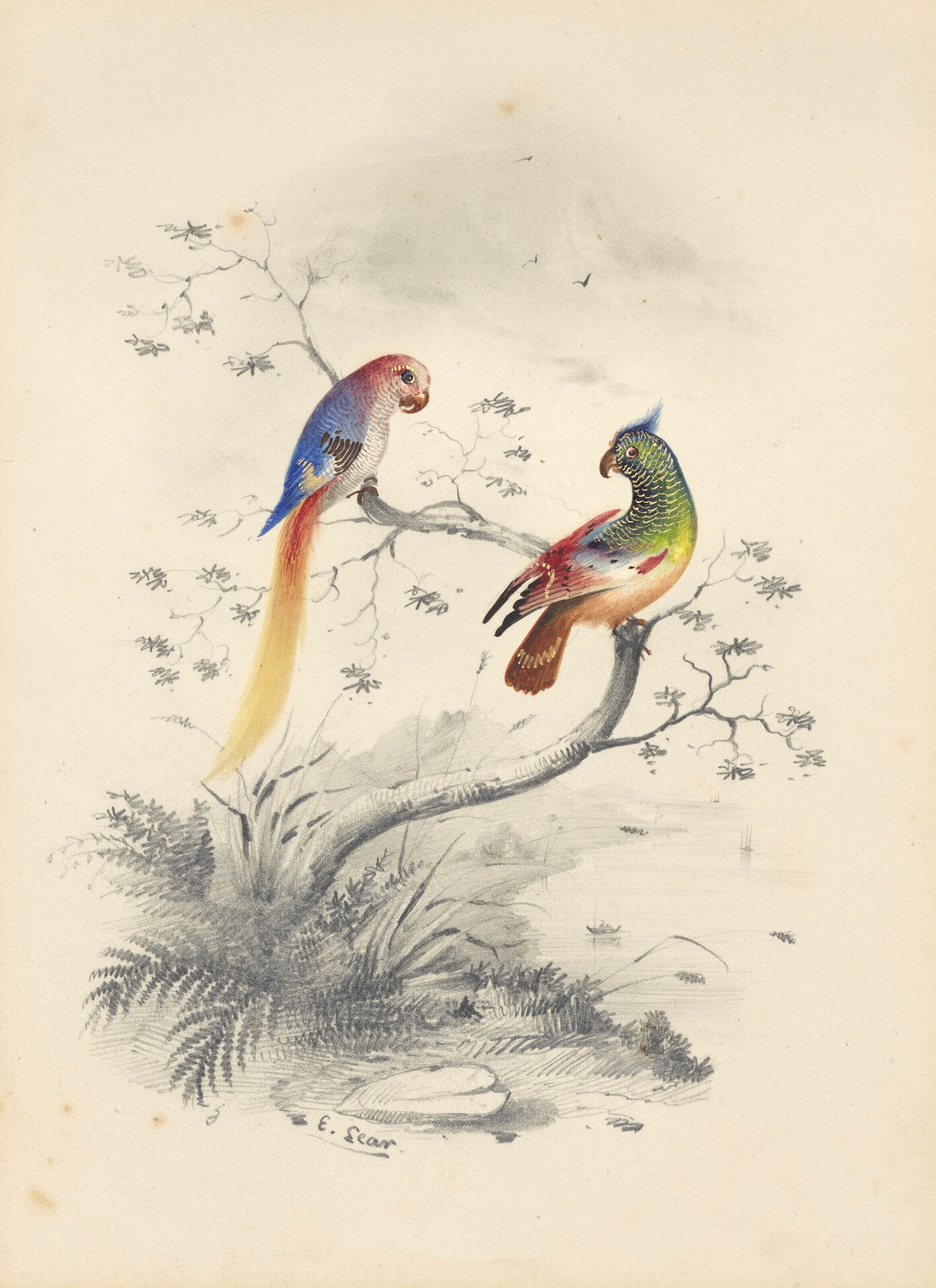 EDWARD LEAR (LONDON 1812-1888 SAN REMO)
