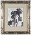 IMOGEN CUNNINGHAM (1883-1976)