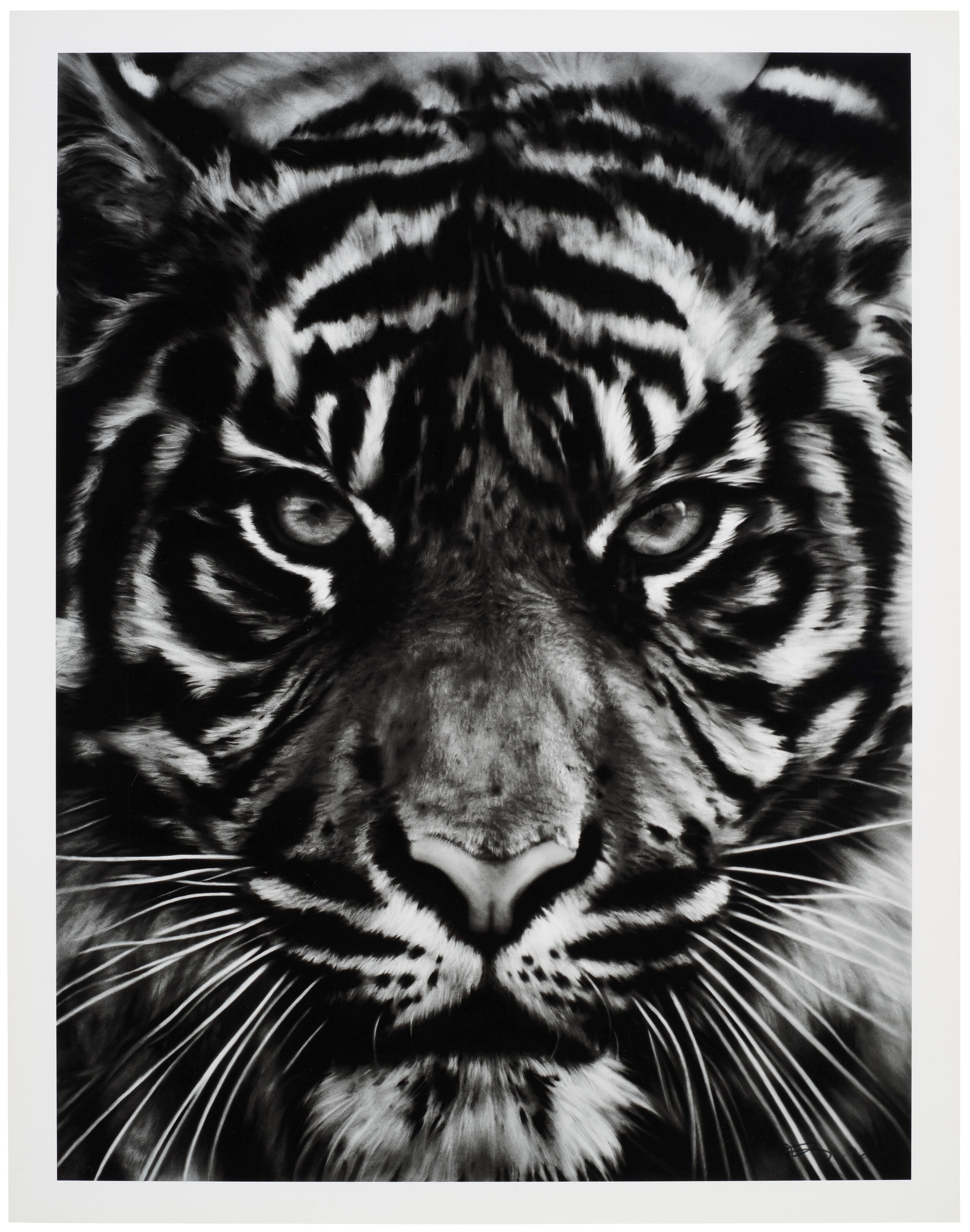 ROBERT LONGO (B. 1953)