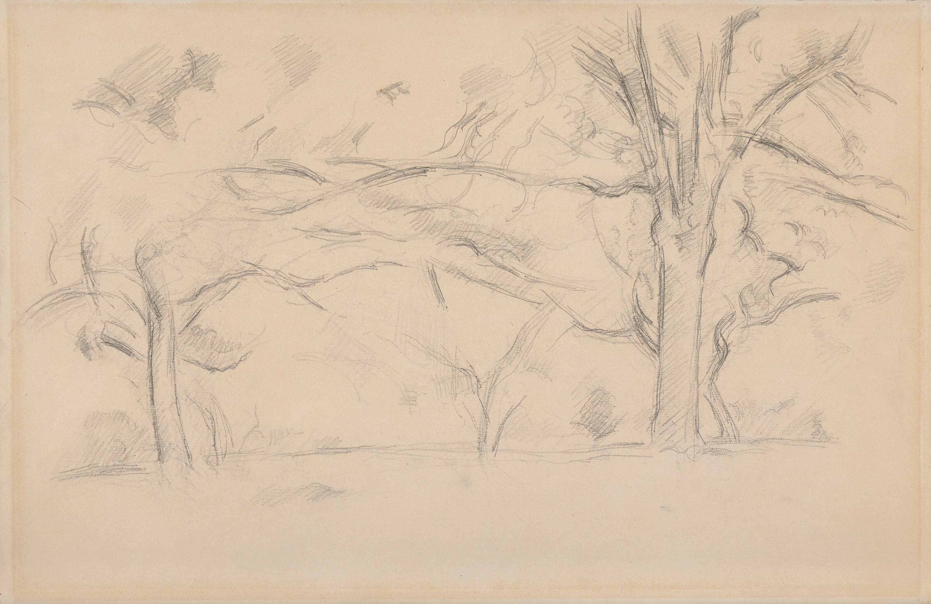 Paul Cézanne (1839-1906)
