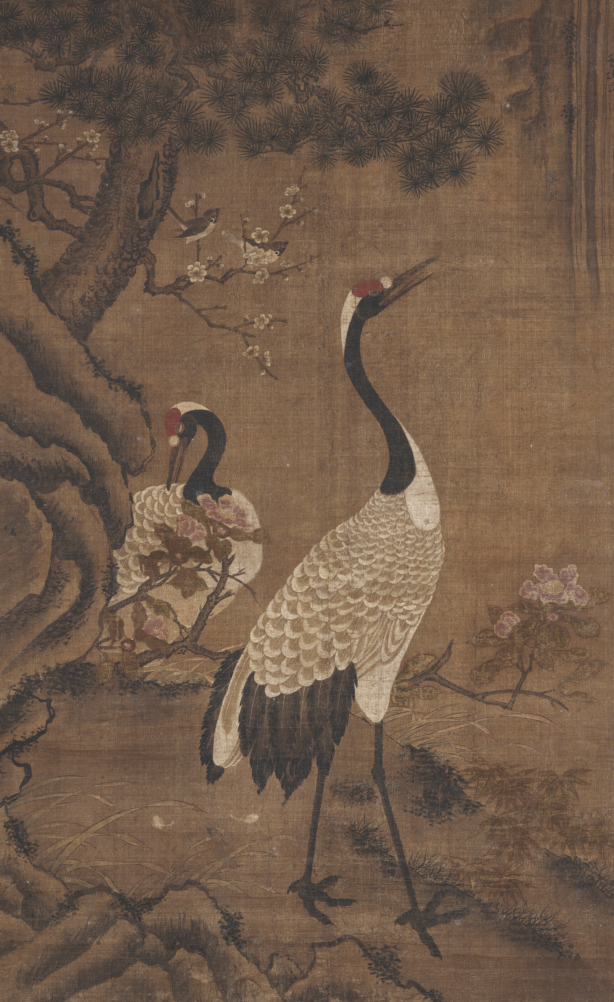 明 無款