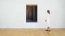 Hans Hartung (1904-1989)
